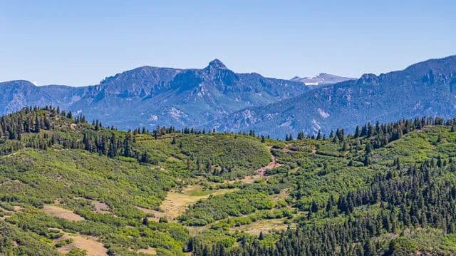 Chromo Mountain Elk, Land and Cattle Ranch - Chama, New Mexico, 87520