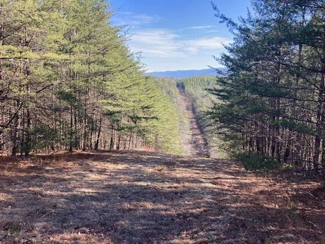 Lots & Land-Other in Eagle Rock - Eagle Rock, Virginia, 24085