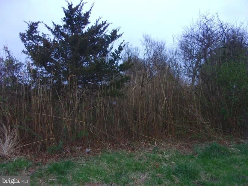 Lots & Land-Other in FORTESCUE