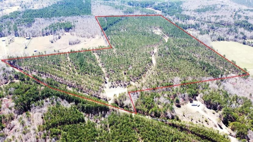 Sunny Home 87+/- Acres