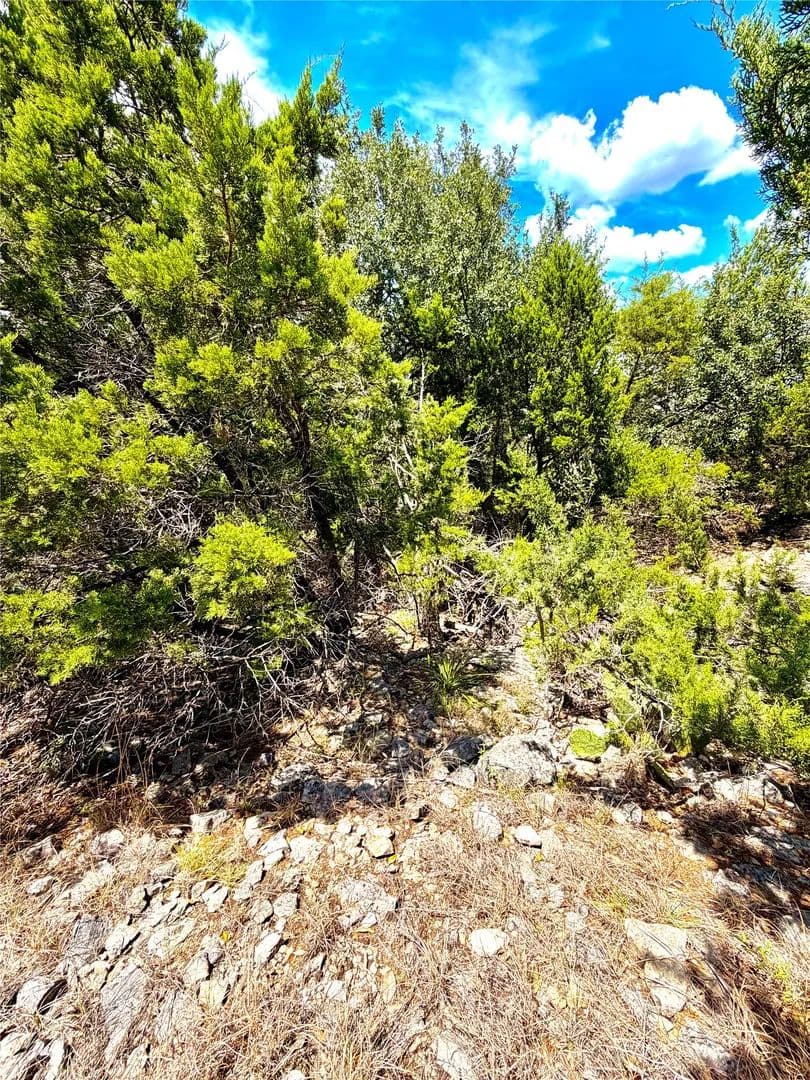 1.49 Acres of Land for Sale in Fischer, TX - Fischer, Texas, 78623