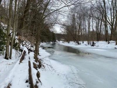 Chest Creek Treasure