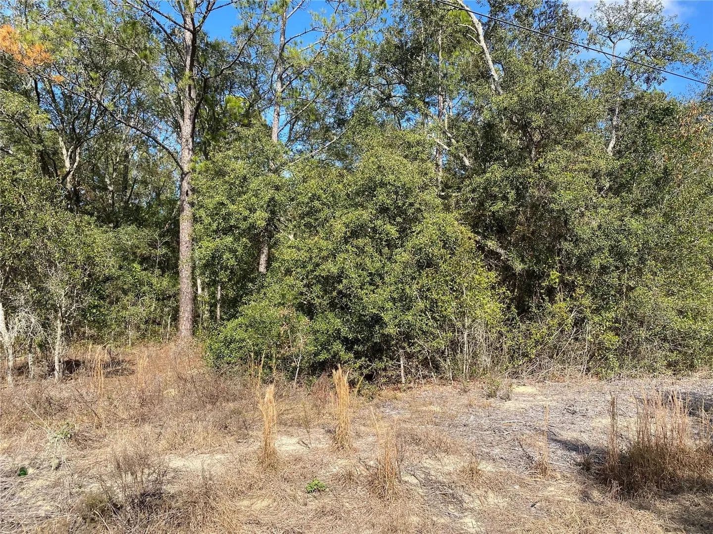 0.24 Acres of Land for Sale in DUNNELLON, FL - Dunnellon, Florida, 34431