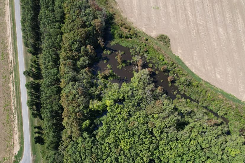 41 Acres in Leflore County, MS 