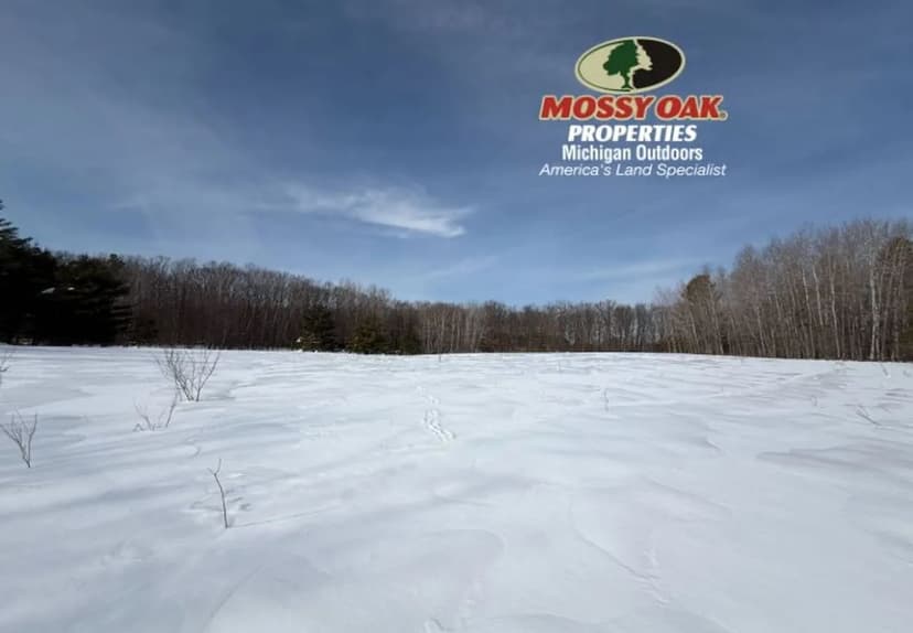 34 +/- Acre Blank Canvas / Newaygo County, MI / Recreational & Buildable / Land For Sale