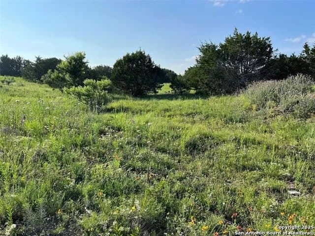 Vacant Land in Jonesboro - Jonesboro, Texas, 76538