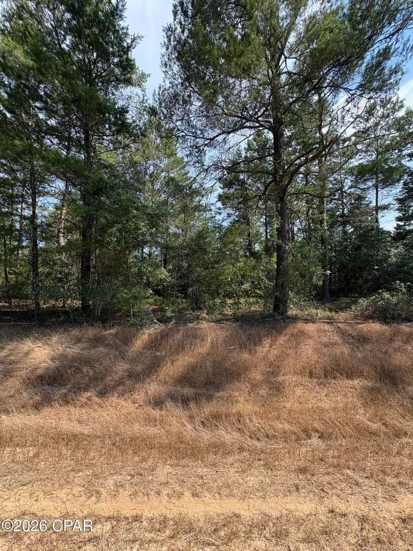 Property from Lot 3 Dumajack Road - KW - Chipley, Florida, 32428