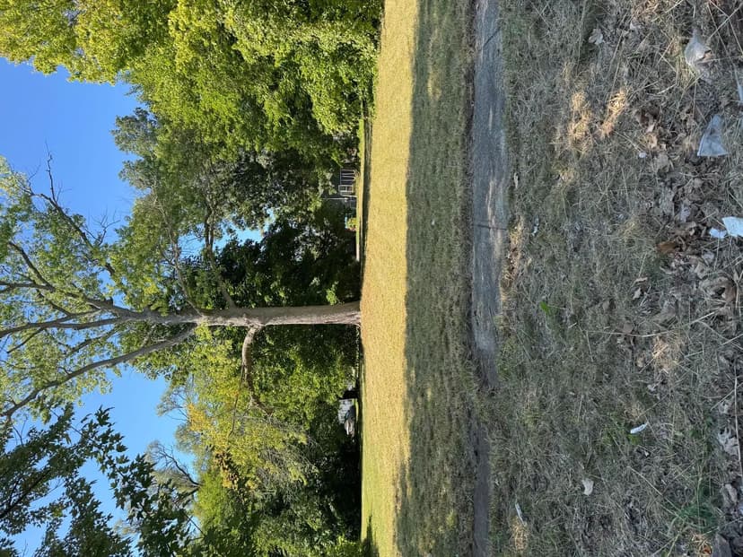 Vacant Land in Benton Harbor