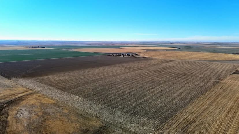 Several Parcels of Prime Cropland with Potential Cash Lease Agreement