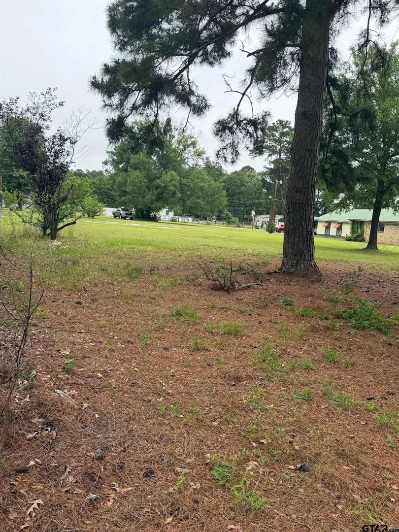 Vacant Land in Frankston - Frankston, Texas, 75763