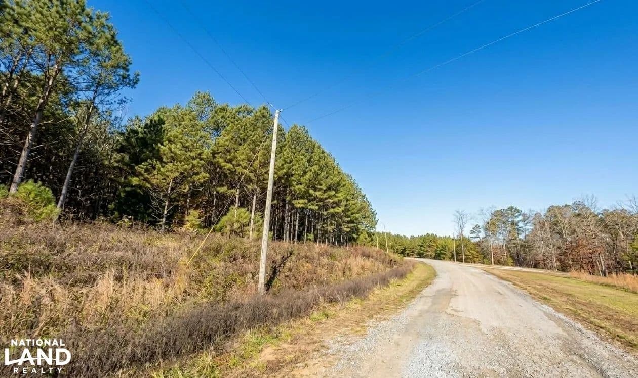 Sipsey Overlook Timber Retreat - Double Springs, Alabama, 35553