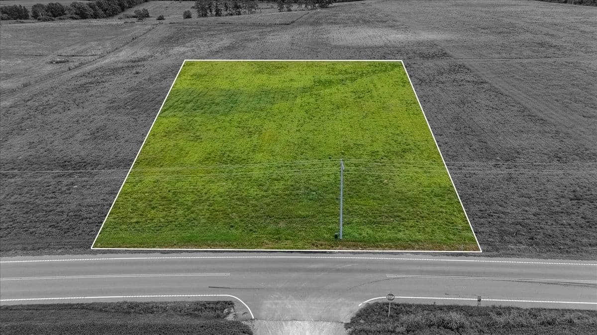 Vacant Land in Leoma - Leoma, Tennessee, 38468