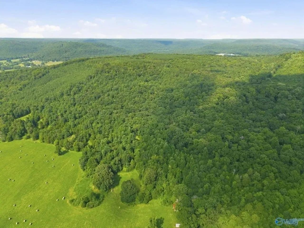 137 Acres AUSBY LIGHT ROAD - Somerville, Alabama, 35760