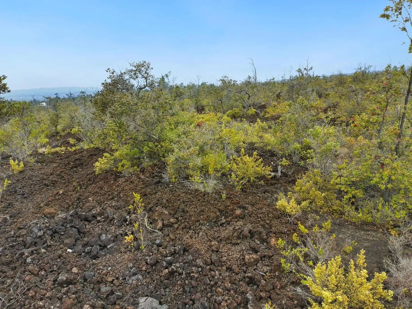 Vacant Land in Ocean View - Ocean View, Hawaii, 96737