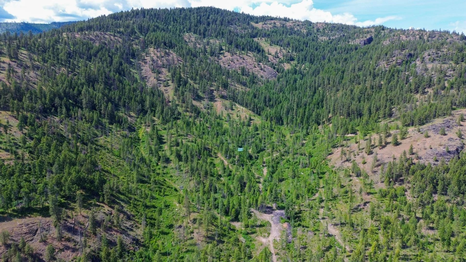 40 Acres of Land for Sale in Addy, Washington - Addy, Washington, 99101