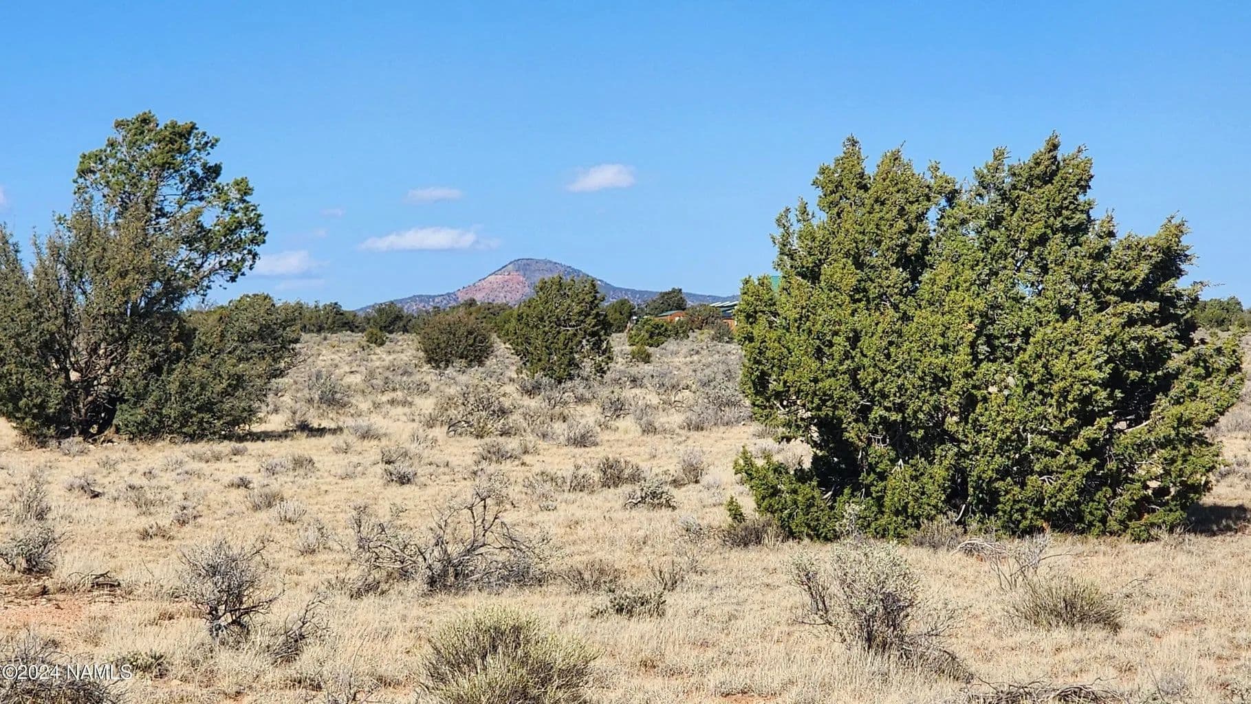 Vacant Land (10+ Acres) in Williams - Williams, Arizona, 86046