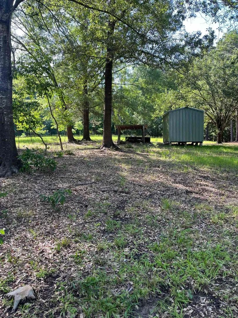 Vacant Land in Avinger - Avinger, Texas, 75563