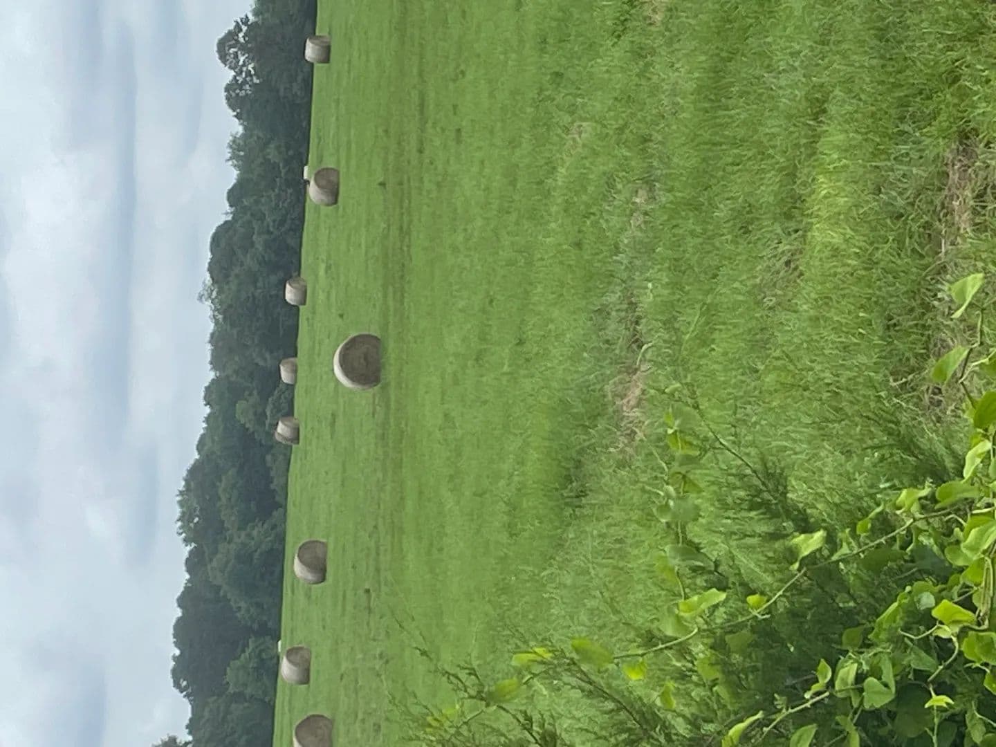 Lots & Land-Other in Lamar - Lamar, Arkansas, 72830