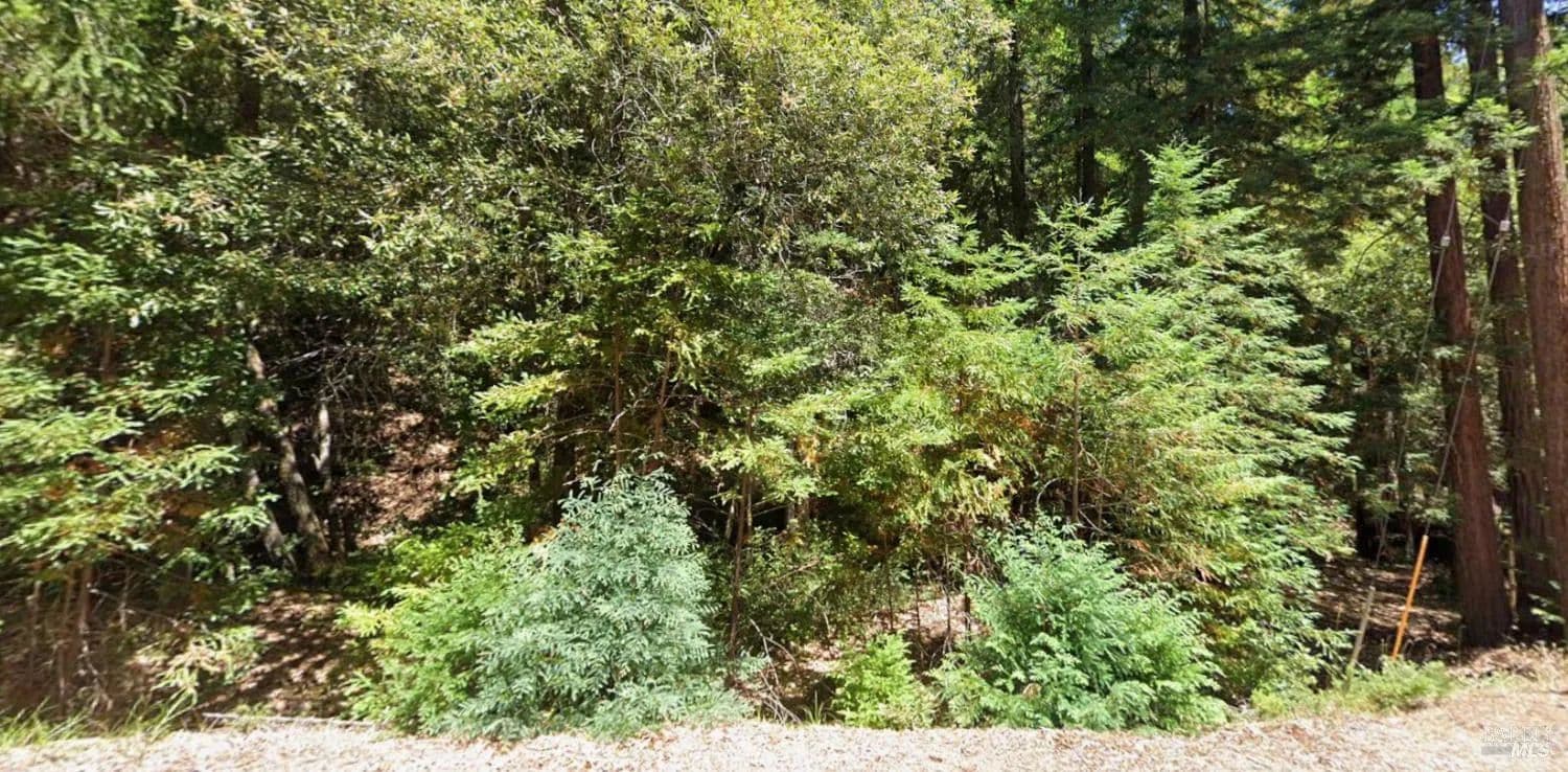 Lots & Land-Other in Willits - Willits, California, 95490
