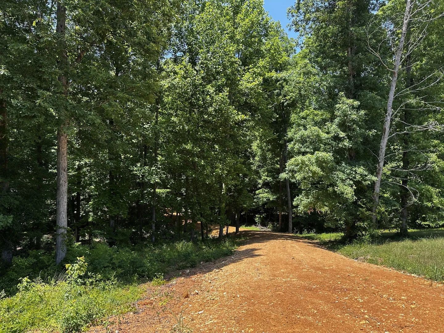 Vacant Land in Loretto - Loretto, Tennessee, 38469