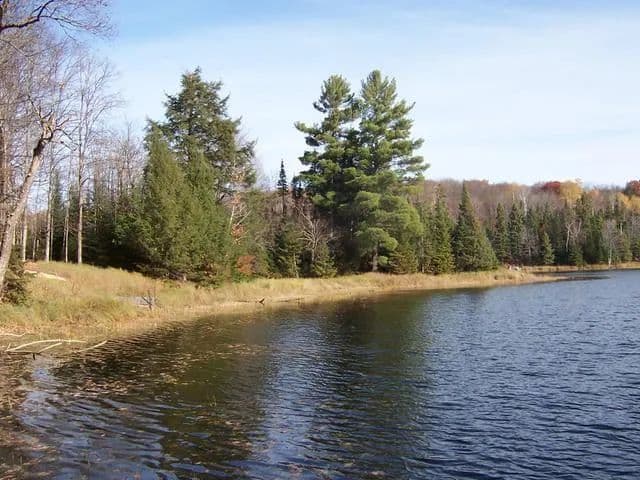 Vacant Land (0-10 Acres) in Haight Township - Michigan, 49912