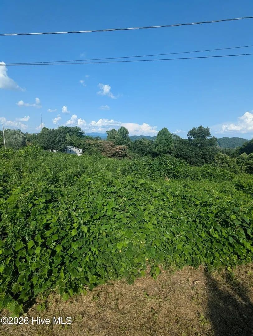 0.66 Acres of Land for Sale in Murphy, North Carolina - Murphy, North Carolina, 28906