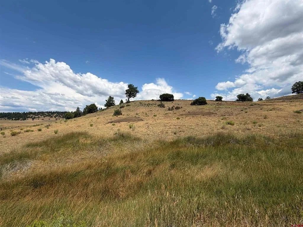 Lots & Land-Other in Pagosa Springs - Pagosa Springs, Colorado, 81147