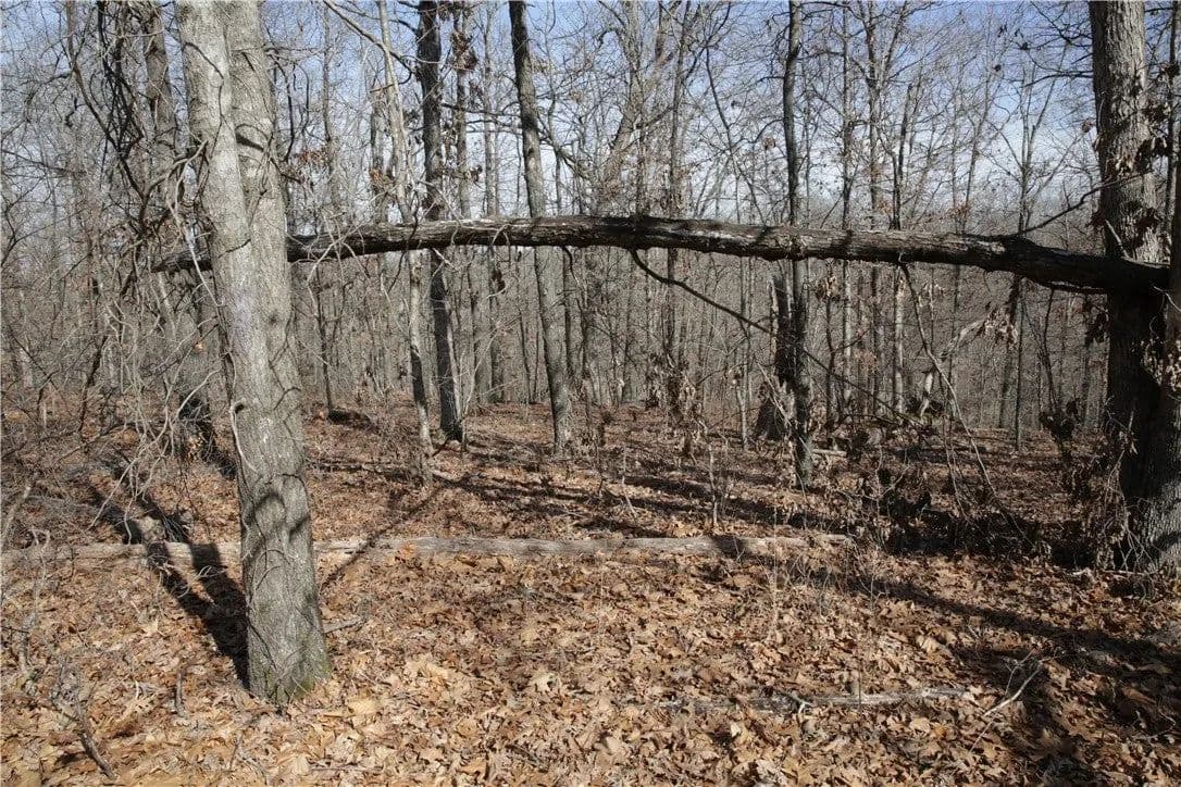 Lots & Land-Other in Bella Vista - Bella Vista, Arkansas, 72715