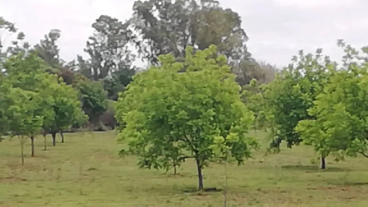 Land for Sale in Ventersdorp, North West - South Africa
