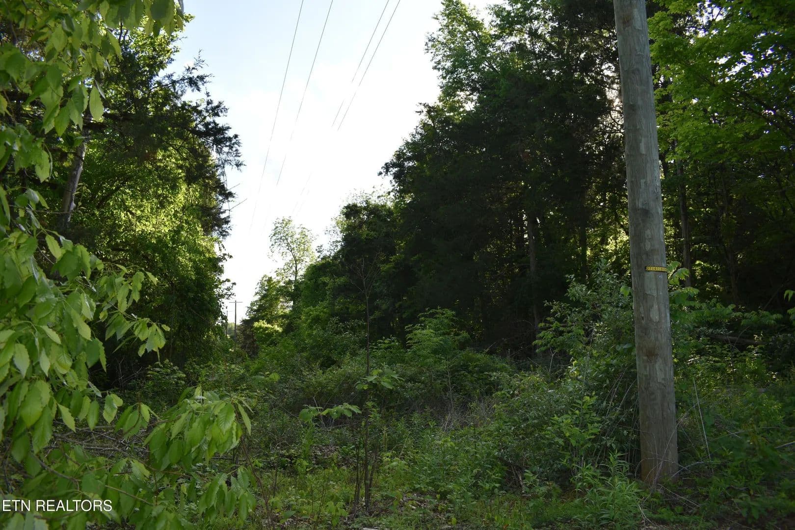 Lots & Land-Other in Harrogate - Harrogate, Tennessee, 37752