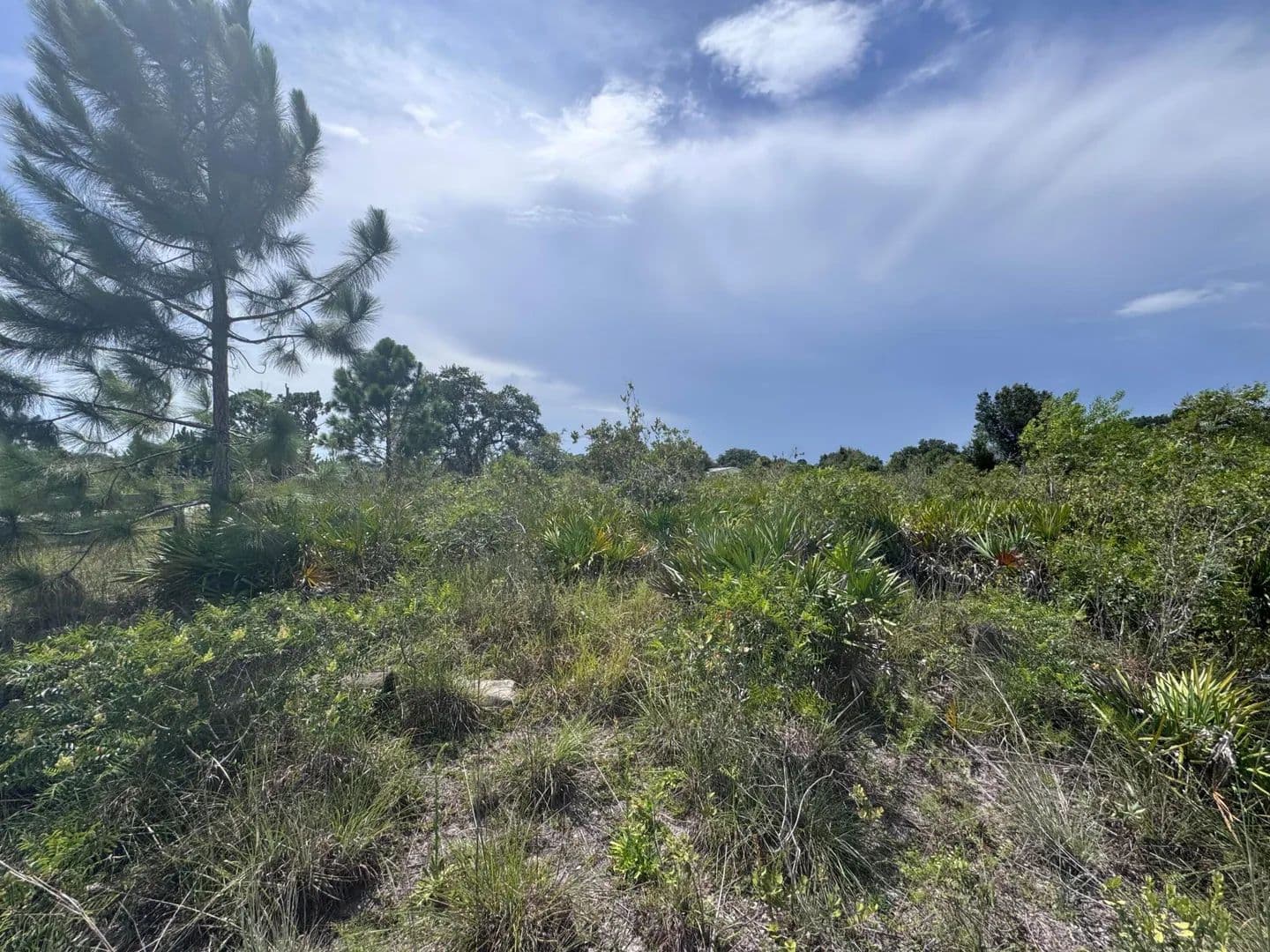 5 Acres of Land for Sale in Okeechobee, FL - Okeechobee, Florida, 34972