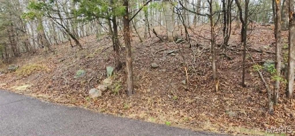 Vacant Land in Marthasville - Marthasville, Missouri, 63357