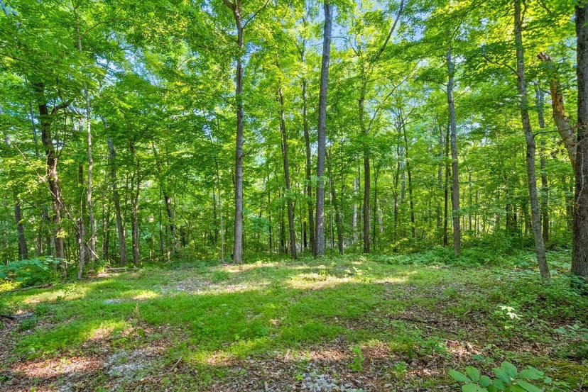 Property from 1 Ferry Rd - KW