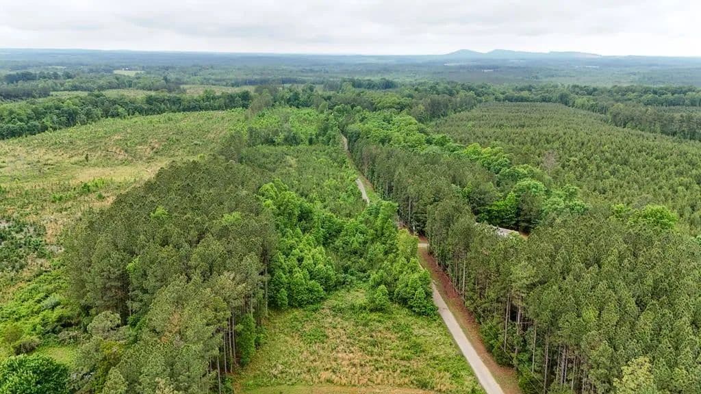 Vacant Land in Cumberland - Cumberland, Virginia, 23901