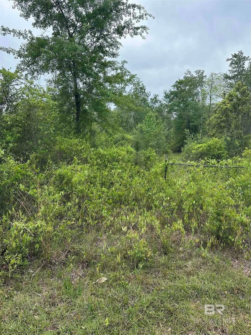 Lots & Land-Other in Bay Minette