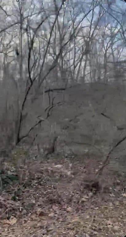 Lots & Land-Other in Irondale - Irondale, Missouri, 63648
