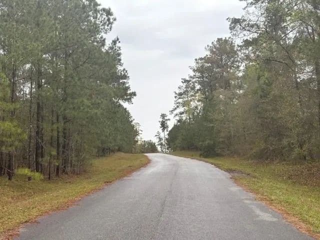 Lots & Land-Other in Bainbridge