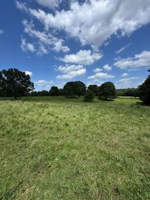 Land -Agricultural (Not Zoned) in Caulfield