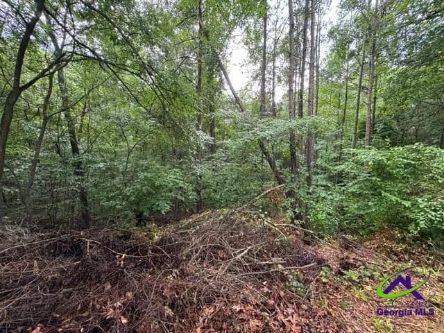 Land -Single Family Acreage in Lizella - Lizella, Georgia, 31052