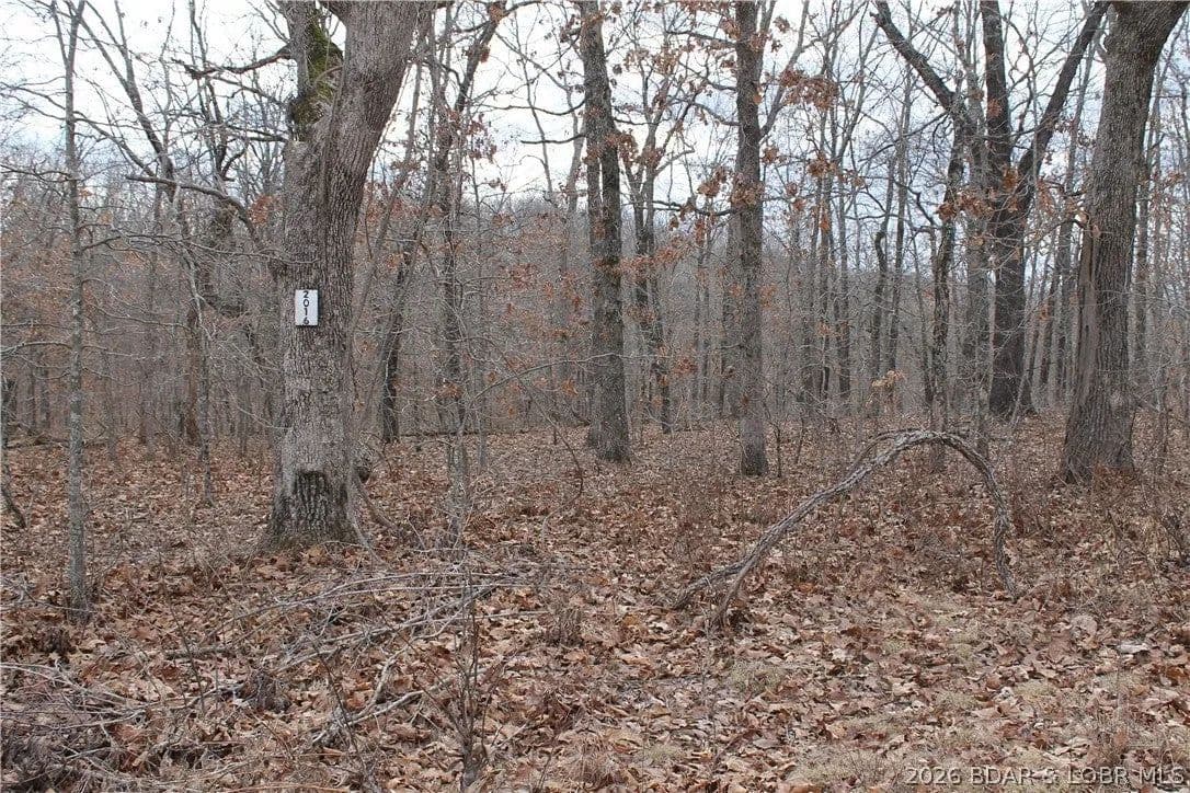 Lots & Land-Other in Edwards - Edwards, Missouri, 65326