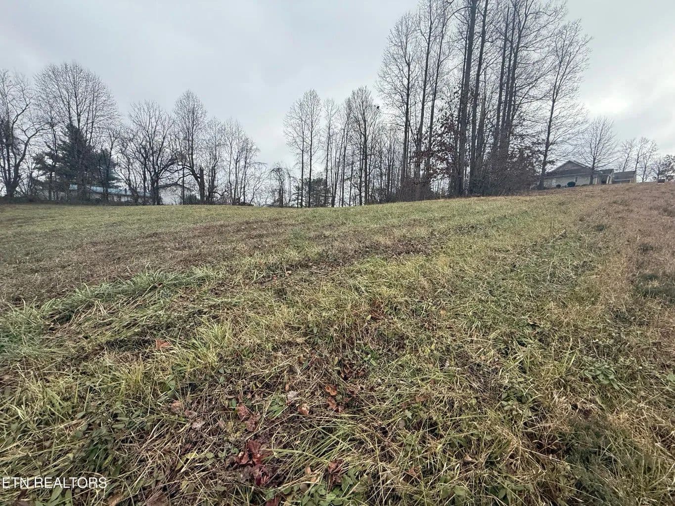 Land -Single Family Acreage in Jonesville - Jonesville, Virginia, 24263