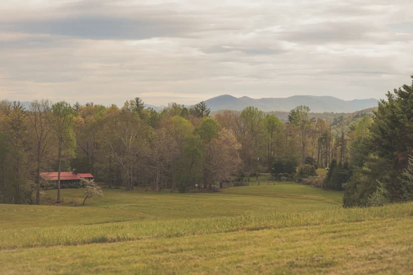 A Log Cabin on 93 Acres in Catoosa County, TN 