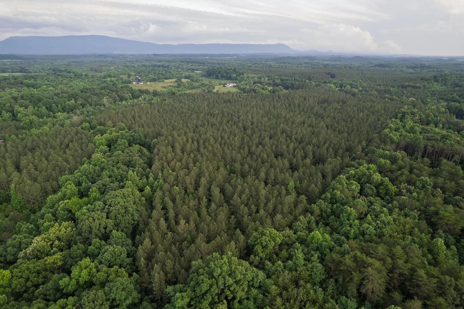 54 Acres | Calhoun, Tennessee | McMinn County - Calhoun, Tennessee, 37309