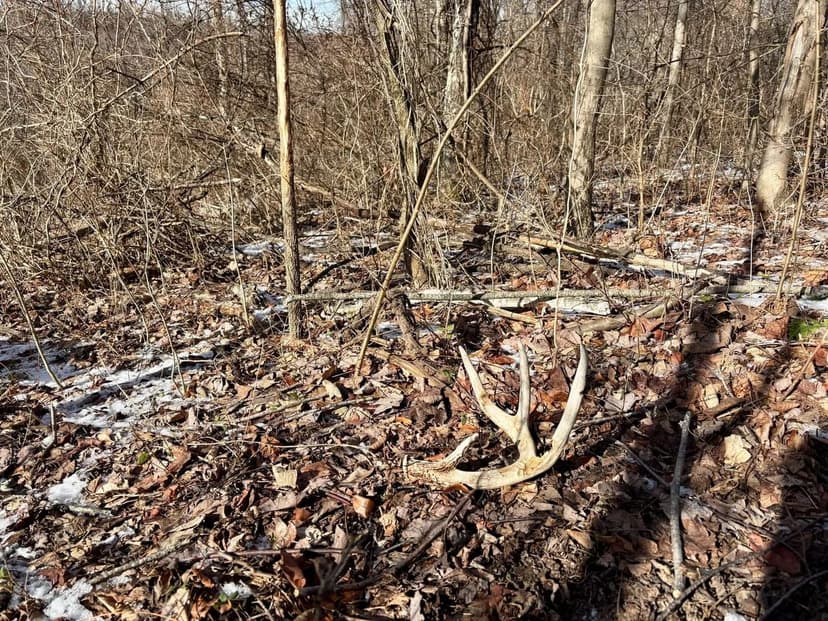 National Pike, Washington County - 44 +/- Acres