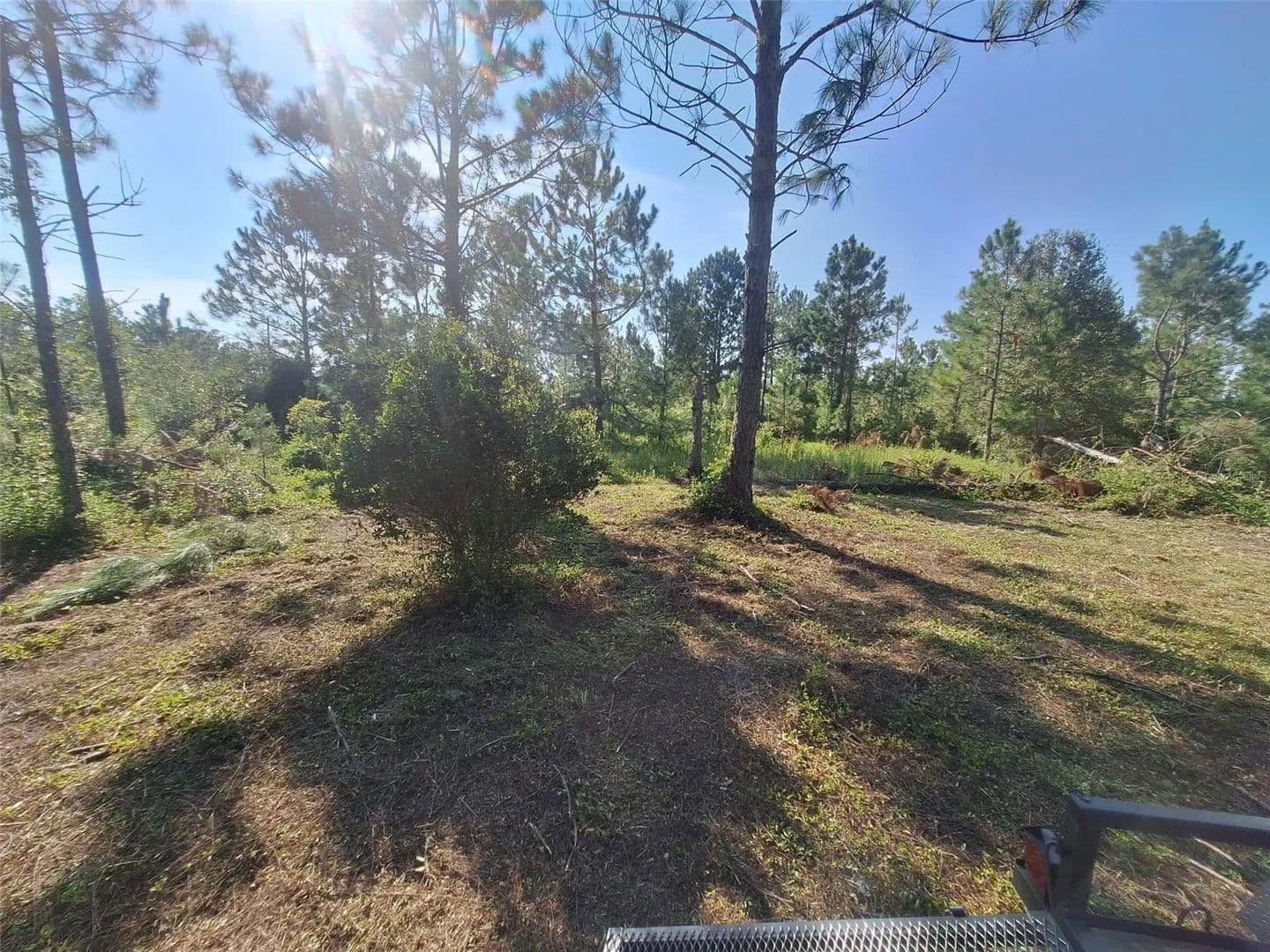 15.32 Acres of Land for Sale in PERRY, FL - Perry, Florida, 32348