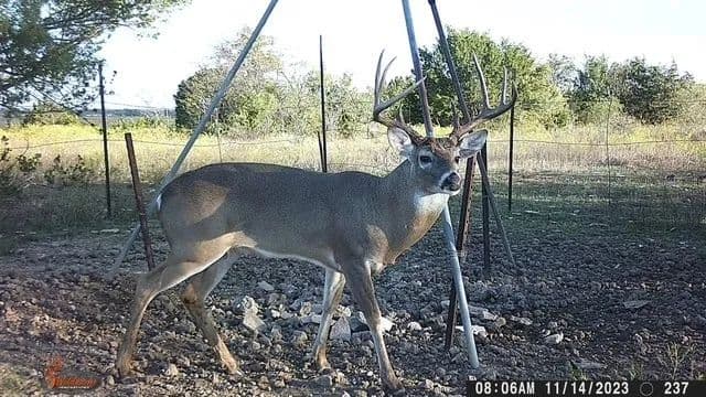 444 Acres of Land for Sale in Carlton, TX - Carlton, Texas, 76436