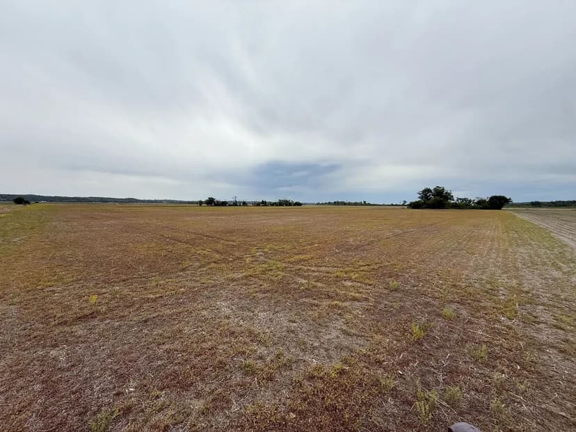 Bottom Ground Forbes, MO