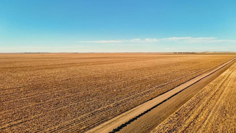 Dirks Irrigated/Dryland/Pasture Land Auction (Tract #5)