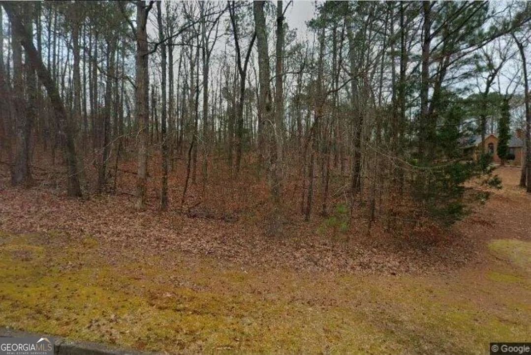 1.87 Acres of Land for Sale in Stockbridge, GA - Stockbridge, Georgia, 30281