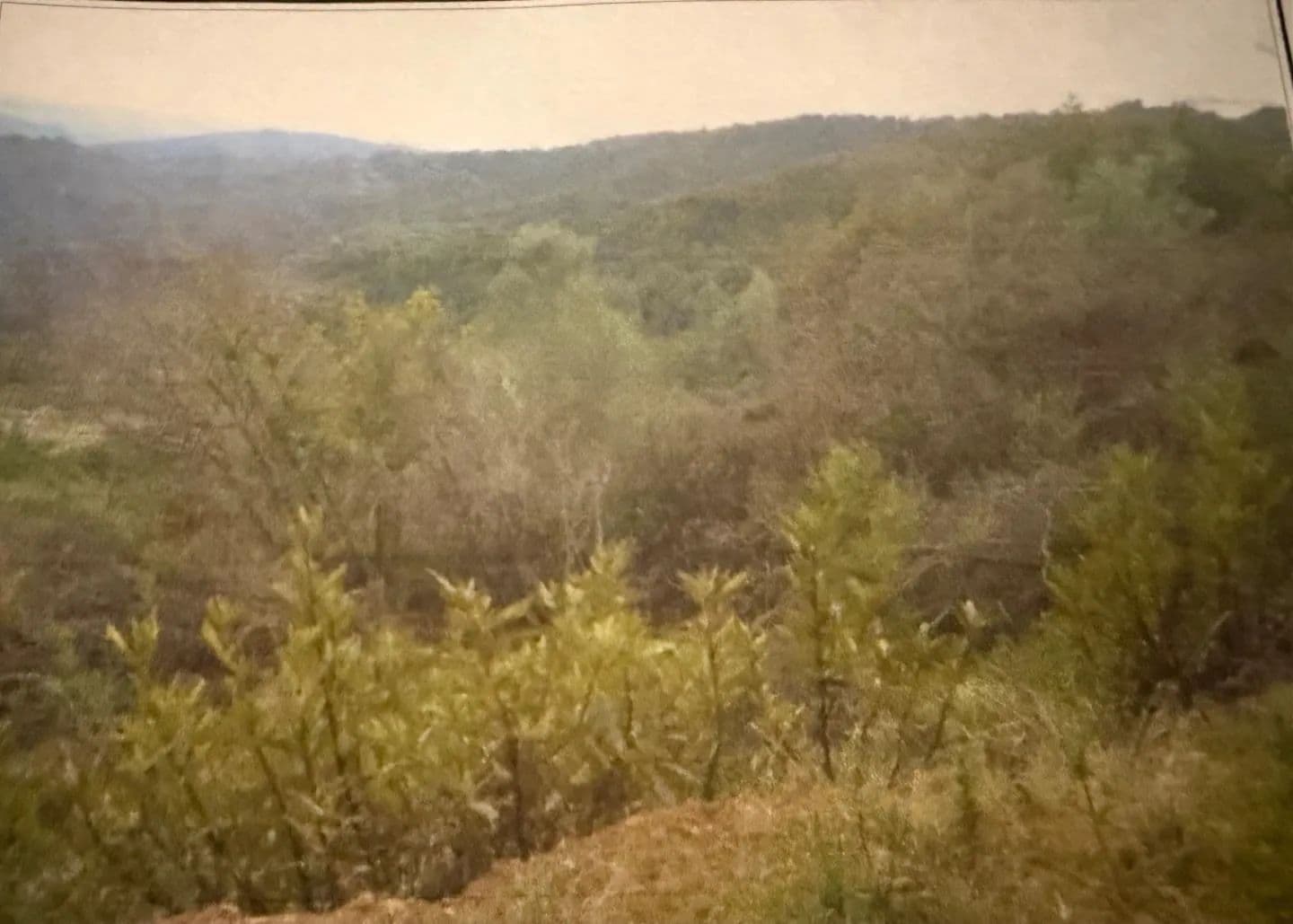 Vacant Land in Morgan Hill - Morgan Hill, California, 95037